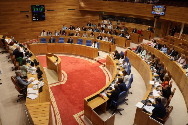 Proposicións non de lei aprobadas polo Pleno do Parlamento de Galicia o 29 de maio de 2024